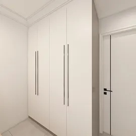minimalist storage cabinet design with sleek handles optimizing small hallway space using Homestyler's real-time 3D rendering feature